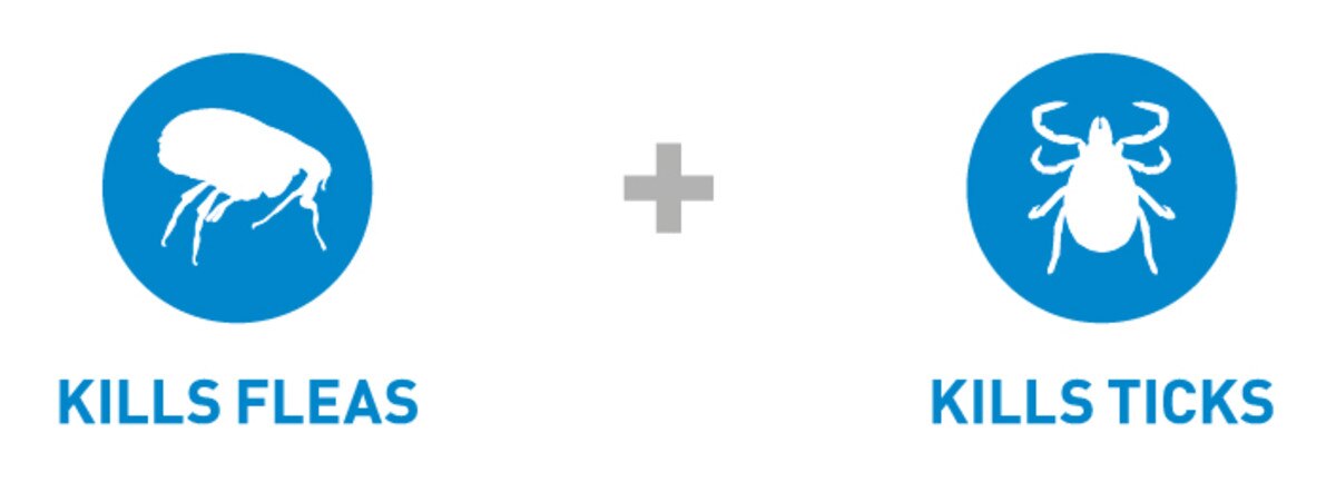 Frontline Spot On Flea & Tick Treatment Cat - 1 pack_1